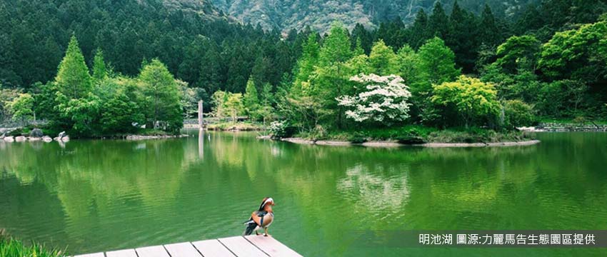 明池森林遊樂園區